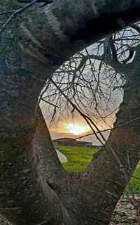 Pablo Neruda Pablo Neruda