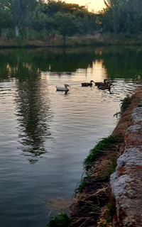 Pablo Neruda Pablo Neruda