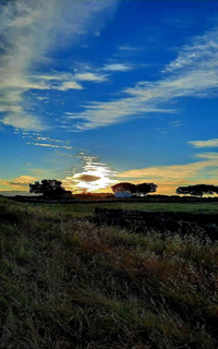 José Ángel Buesa José Ángel Buesa