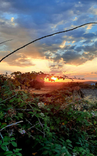 Rosario Castellanos Rosario Castellanos